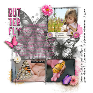 Butterfly