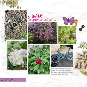 PhotographyChMay23Wb
