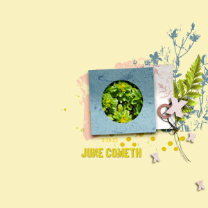 June-Cometh