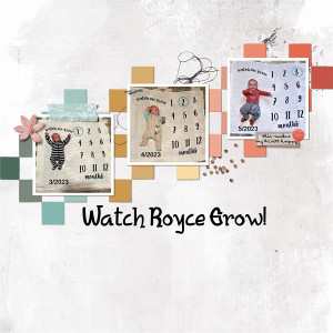 Watch Royce Grow