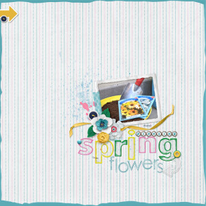 Planting-spring-flowers