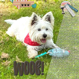 Woof !