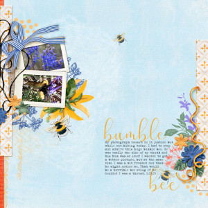 Bumble-bee