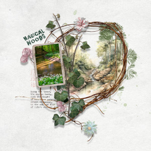 magical woods
