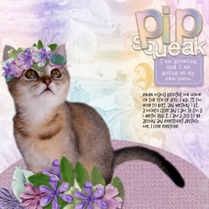 230507_Pip