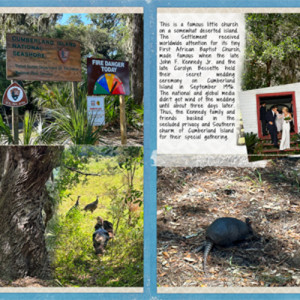 Cumberland Island Tour