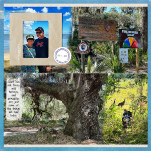 Cumberland Island Tour_left