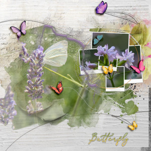 Butterflies