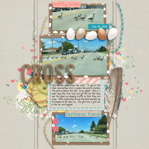 Cross