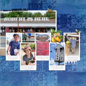 Robert Is Here
