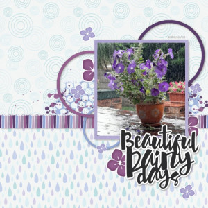 2020-12-23_BeautifulRainyDays