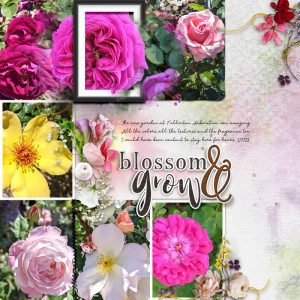 Blossom-and-grow