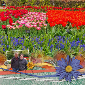 Flowers everywhere