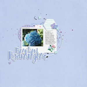 June23_Template_Hydrangea