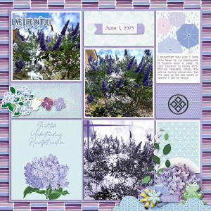 Blooming-purple