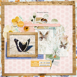 Butterfly Beauty