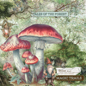 The Wise Gnome of the Forest