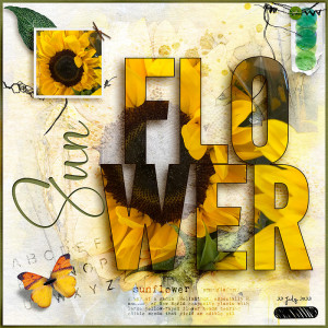 Sun Flower