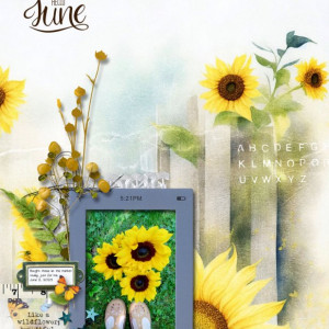 Shine-Like-a-Sunflower