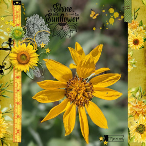 Shine-like-a-sunflower