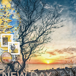 Brand New Day