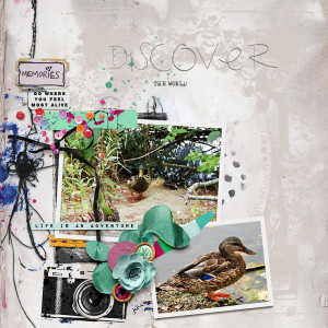 Discover The World
