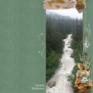 Alaskan Wilderness