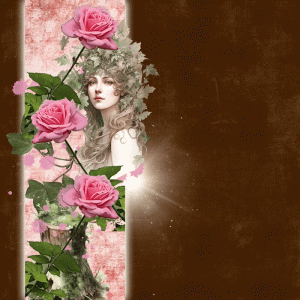 The-Rose
