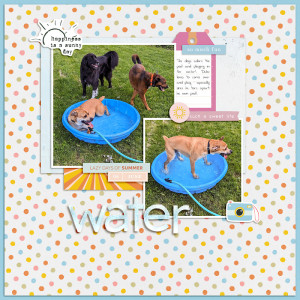 2023 Dog Water