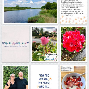 Week 24 b 2023