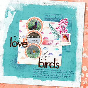 Birds of Renesse