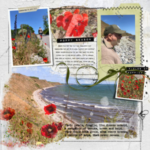 Poppy season