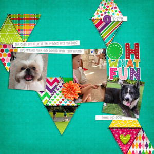 Doggies in HI
