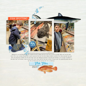 fish spotting