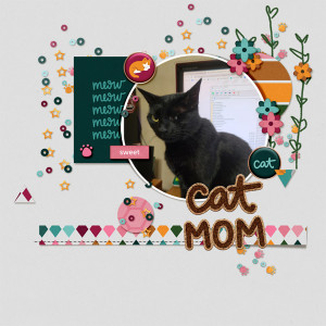 Studioliv_intheround_temp4_cudlycats