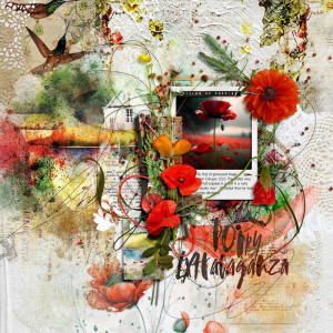 Poppy Extravaganza