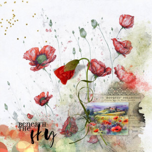 Poppy_extravaganza