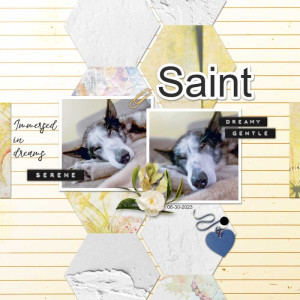 2023-7-1-Saint