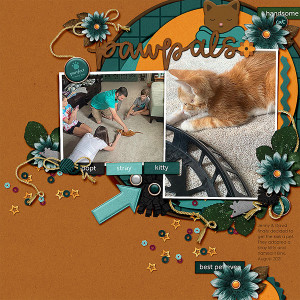 21.08-PawPals---Binx