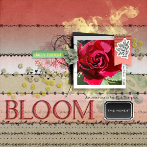 Bloom