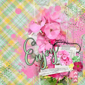Enjoy