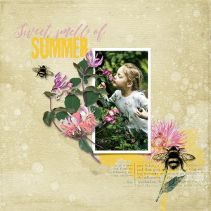Sweet Smell Of Summer