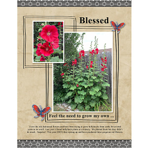 Jul2023_KimJensen-Chall_flowersgal_sq_web