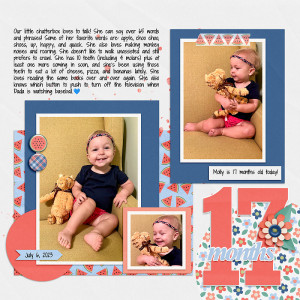 17 Months Old