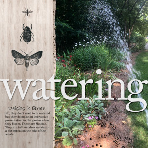 Water-ing
