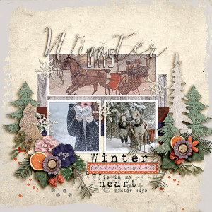 FF_july14_AWA_DBI_Winter Days