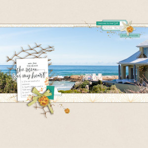 Notes from the Beach