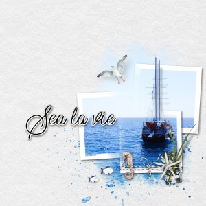 Sea La Vie