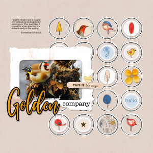 Golden Company