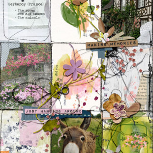 2023 Bucket list event - Week 3 - Pocket cards
